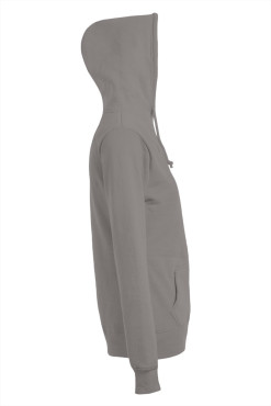 LevelUp Damen Hoodie CARBSTREET BOYS grau